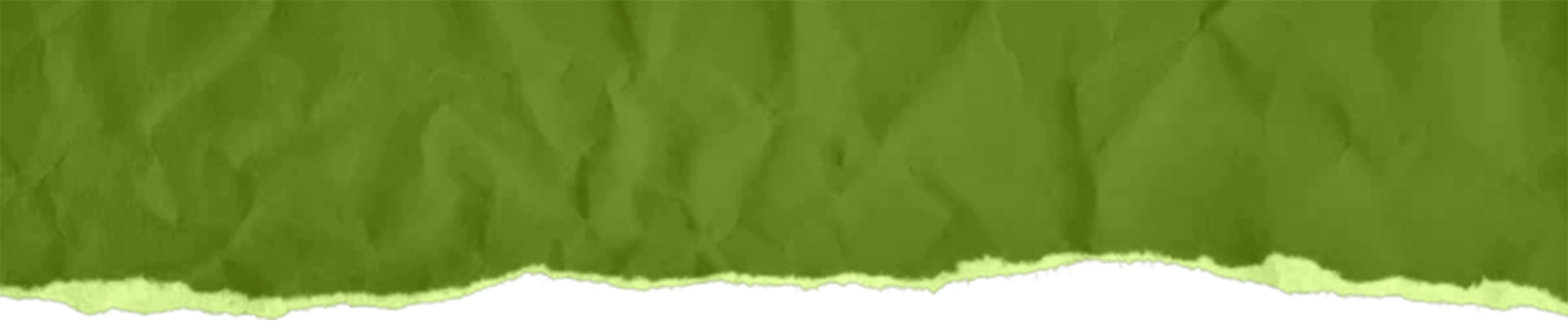 Top Paper Border