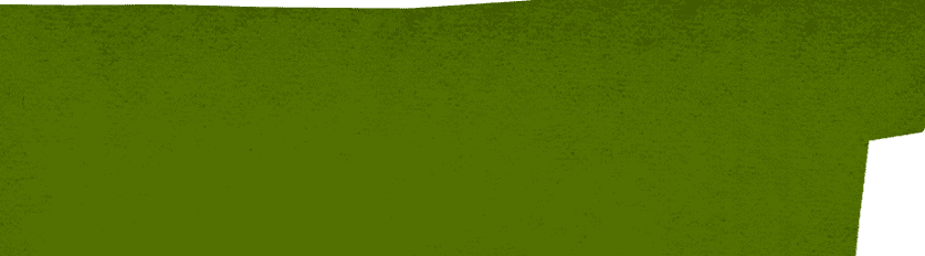 Background Shape